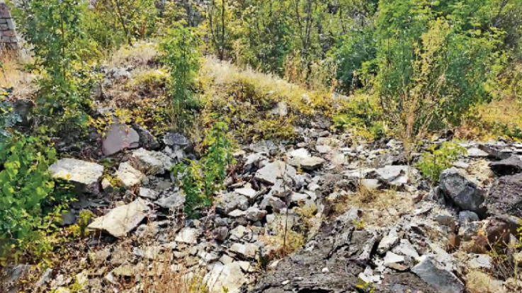 Живојин Ракочевић: Албанци затиру трагове светиње